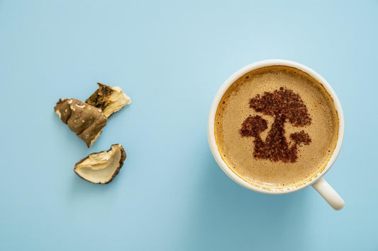 5 Reasons Why Mushroom Coffee is the Best Coffee Alternative